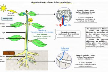 appareil de mesure co2