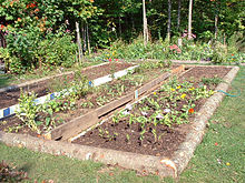 bordurettes de jardin