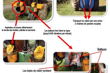 broyeur végétaux