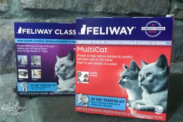 feliway multicat