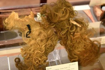 hair volume