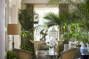 salon de jardin zebra