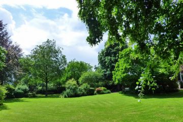 salon jardin harmony