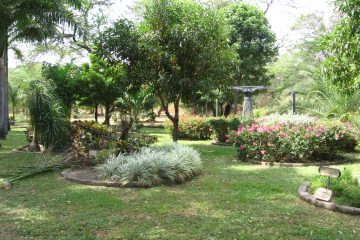 salon jardin petit prix
