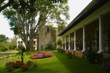 salon jardin queretaro